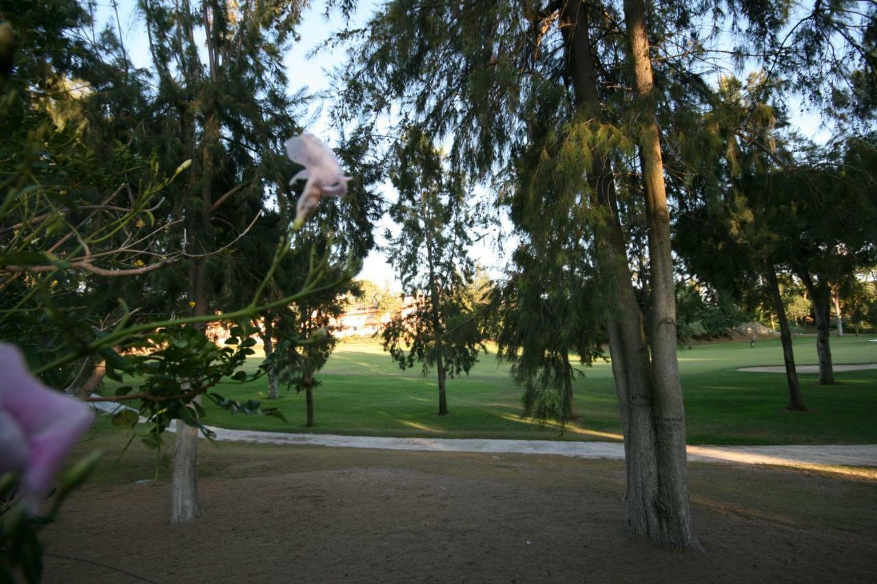 Greenlife Village Marbella Luaran gambar